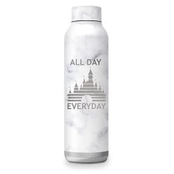 Disney Stainless Steel Water Bottle - Fantasyland Castle - All Day Everyday